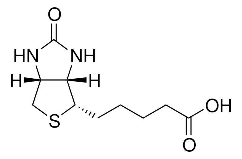 默克Supelco 生物素,有证参比物质,TraceCERT®,生产商:瑞士Sigma-Aldrich Production GmbH
