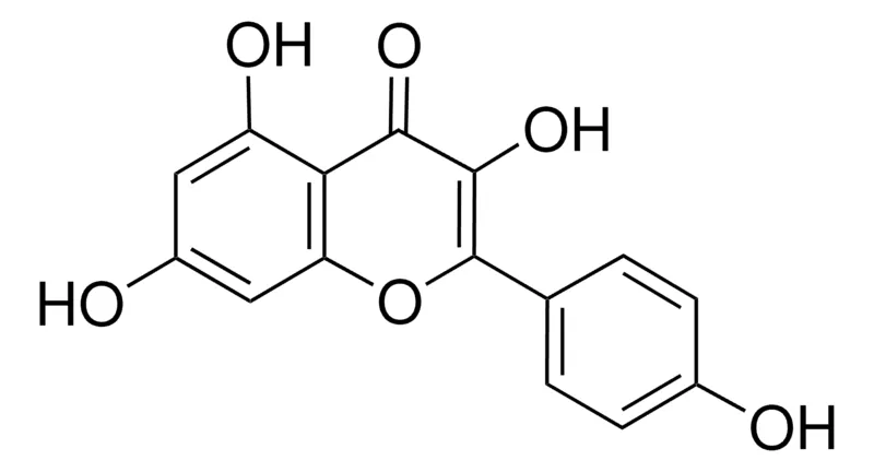 默克Supelco 山柰酚,phyproof®参考物质