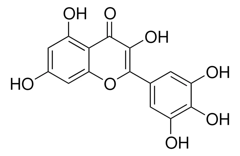 默克Supelco 杨梅黄素,phyproof®参考物质