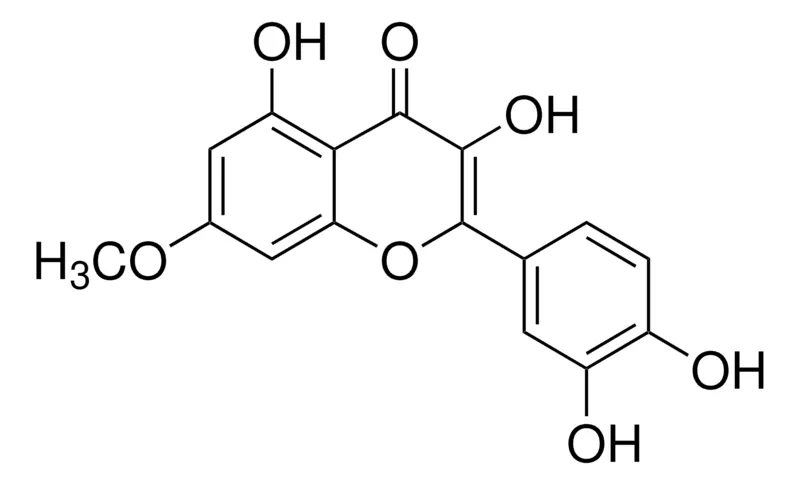 默克Supelco 鼠李亭，phyproof®参考物质