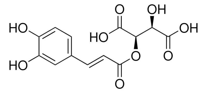 默克Supelco 单咖啡酰酒石酸,phyproof®参考物质