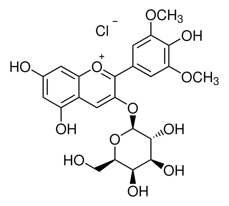 默克Supelco 氯化锦葵色素-3-半乳糖苷，phyproof®参考物质