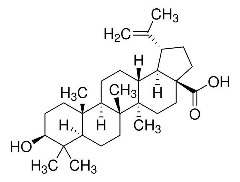 默克Supelco 白桦脂酸,phyproof®参考物质