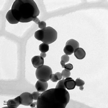 Sigma-Aldrich 银,纳米粉末,粒径<150 nm,99%痕量金属