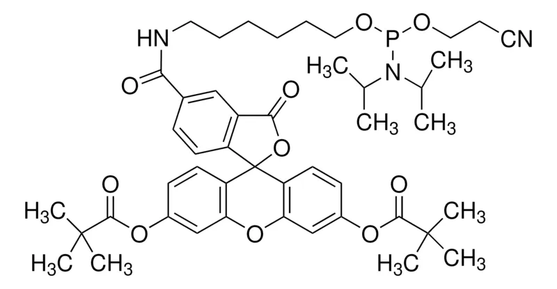Sigma-Aldrich Fluorescein Phosphoramidite，为PerkinElmer配置，为Polygen配置
