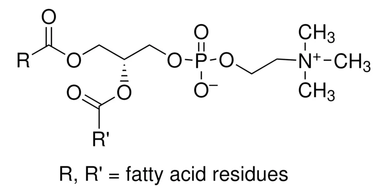 Sigma-Aldrich L-α-磷脂酰胆碱，来自大豆，≥99%（TLC），冻干粉