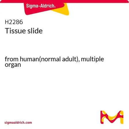 Sigma-Aldrich Tissue slide,来自人(正常成人),多器官