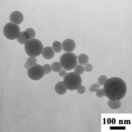 Sigma-Aldrich 羟基磷灰石，纳米粉末，<200 nm粒度（BET），含有5重量%二氧化硅作为掺杂剂，合成