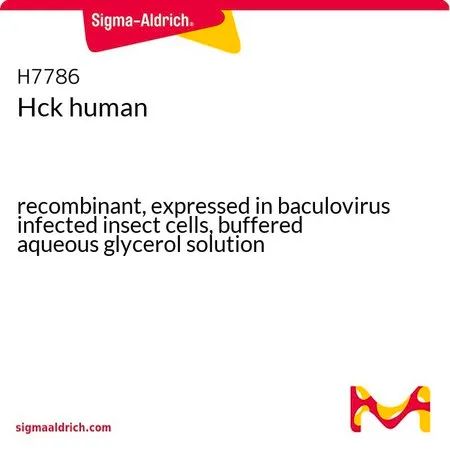 Sigma-Aldrich Hck human，重组，在杆状病毒感染的昆虫细胞中表达，甘油缓冲水溶液