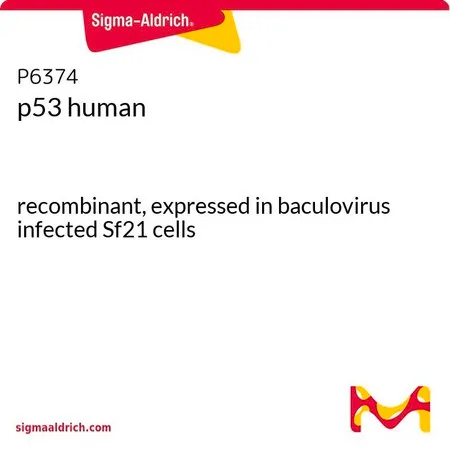 Sigma-Aldrich p53 人，重组体，在杆状病毒感染的Sf 21细胞中表达