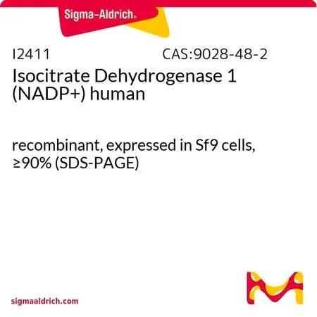Sigma-Aldrich Isocitrate Dehydrogenase 1 (NADP+) human，重组，在Sf 9细胞中表达，≥90%（SDS-PAGE）