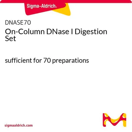 Sigma-Aldrich 柱上 DNase I 消化套装，足够70份制剂