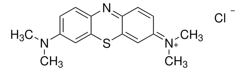 Sigma-Aldrich 亚甲蓝 溶液，适用于显微镜