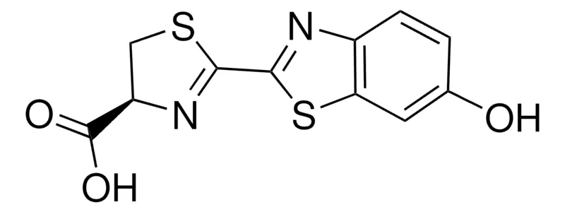 Sigma-Aldrich D -荧光素，BioXtra，≥99%（HPLC），粉末