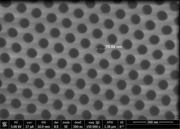 Sigma-Aldrich SmartPor, alumina membrane,厚度50 μm,孔径75 nm,孔径125 nm(孔间距),尺寸10 mm × 10 mm,10件装