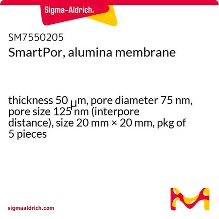 Sigma-Aldrich SmartPor, alumina membrane,厚度50 μm,孔径75 nm,孔径125 nm(孔间距),尺寸20 mm × 20 mm,5件装