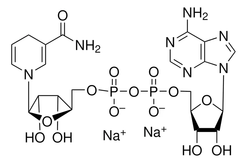 Sigma-Aldrich 还原型 β-烟酰胺腺嘌呤二核苷酸 二钠盐，约98%，1 mg包装（每瓶）