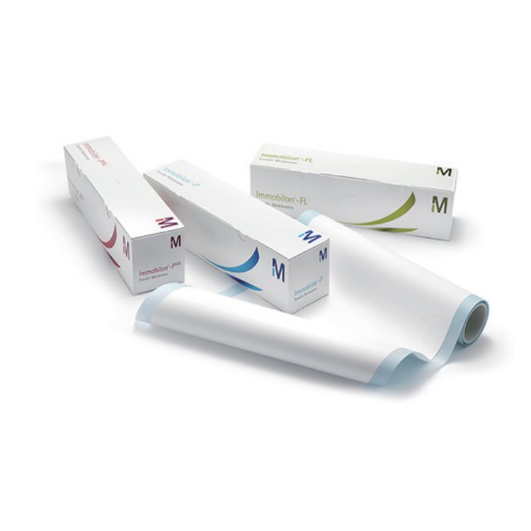 默克密理博millpore Immobilon PVDF转印膜