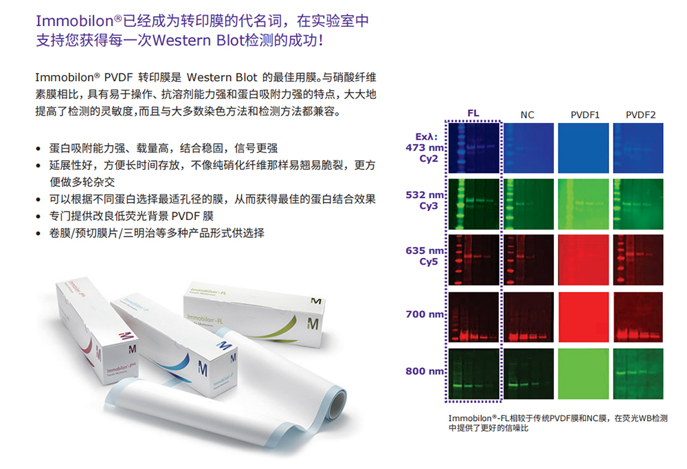 默克密理博millpore Immobilon PVDF转印膜