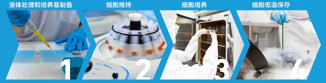 优品推荐|DWK细胞培养产品