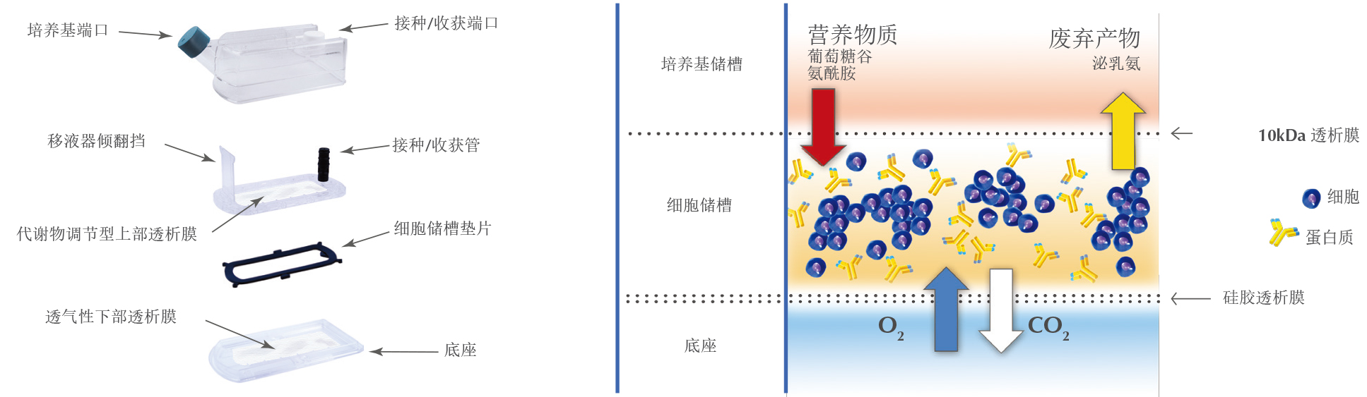 现货供应|WHEATON® CELLine 1000生物反应器