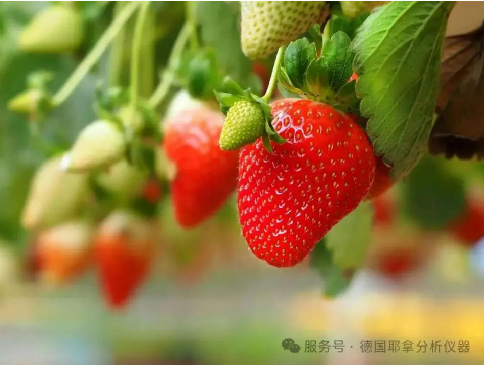 固体进样技术成国家标准,德国耶拿solidAA助力食品安全!