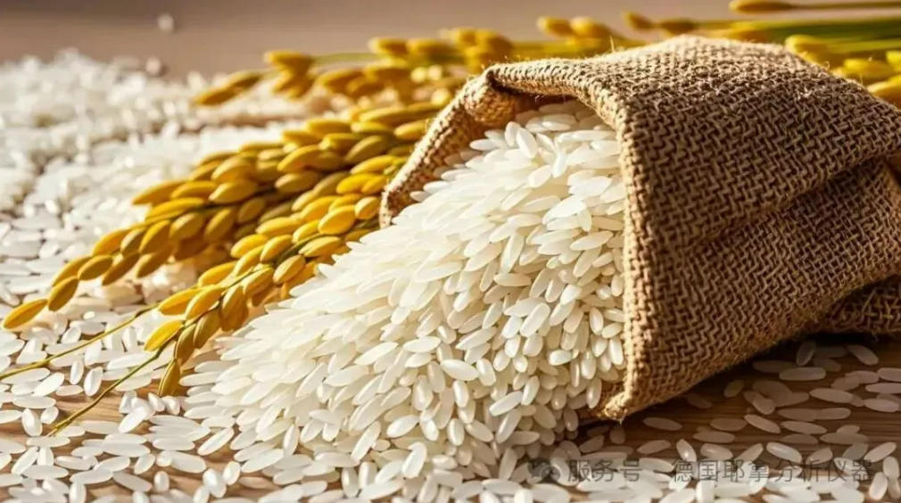固体进样技术成国家标准,德国耶拿solidAA助力食品安全!