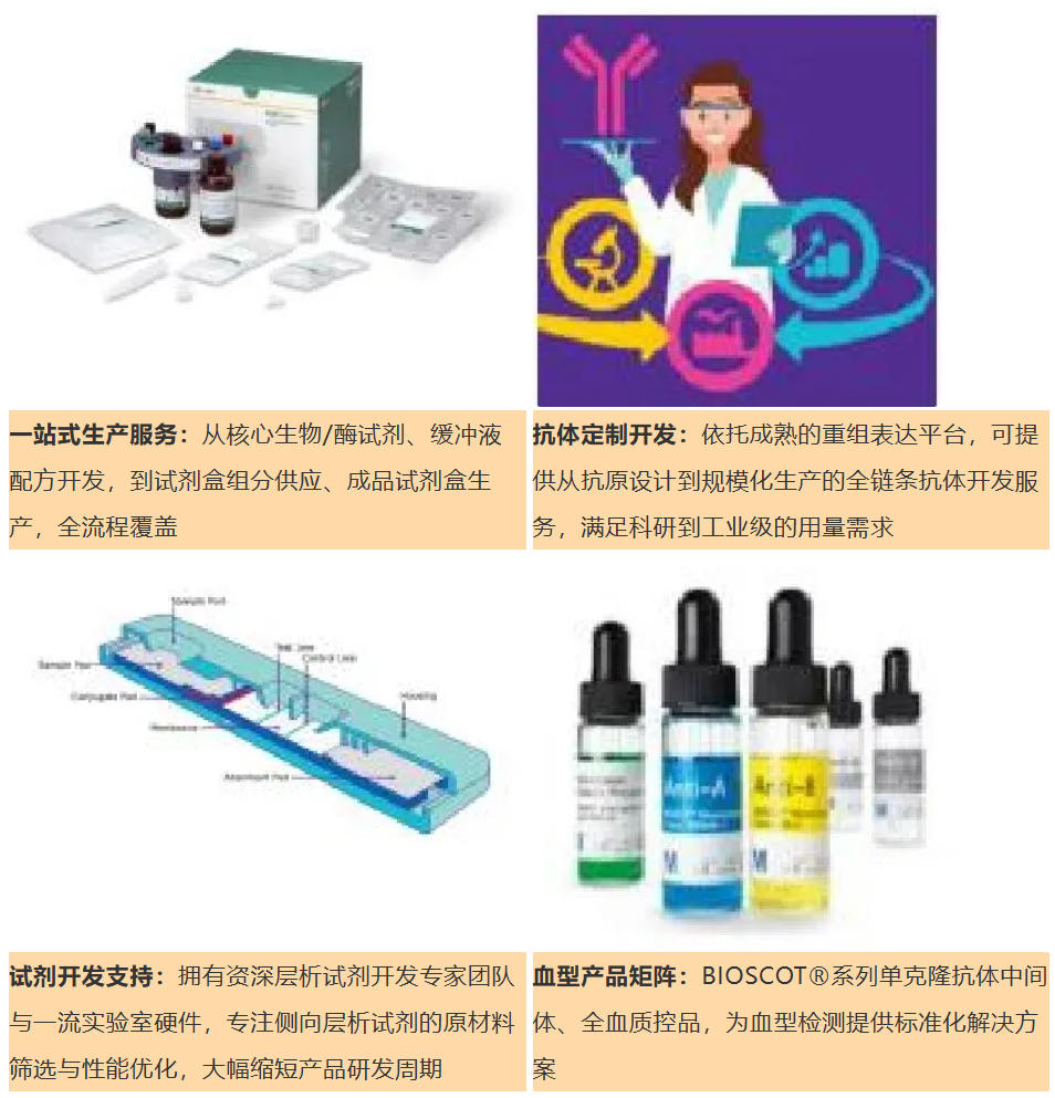 从实验室到量产,默克DxRM全线产品矩阵护航精准医疗全产业链